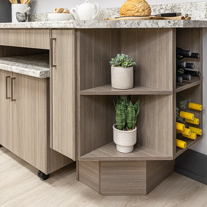 open shelves with plants and wine bottles